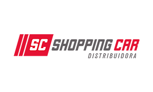shopping-car
